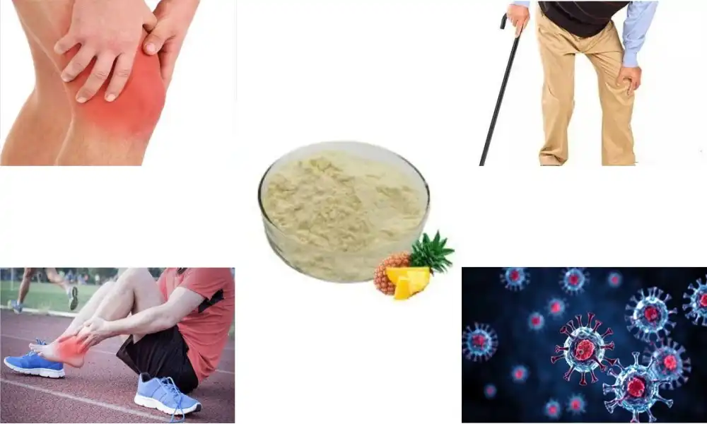 Bromelain Powder: The Natural Enzyme Fighting Inflammation and Pain